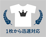 �ǉ����ɂ��v���ɑΉ��ł���̂�T�V���c�v�����g�H�꒼�c�̃����b�g�ł��B