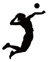 01�p�[�c�o���[